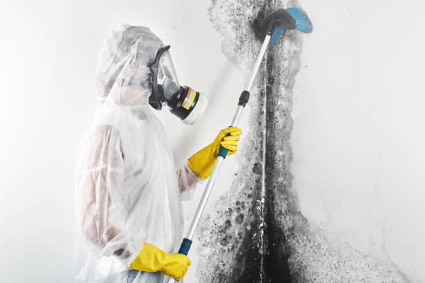 Best Dehumidification Services  in Gaithersburg, MD