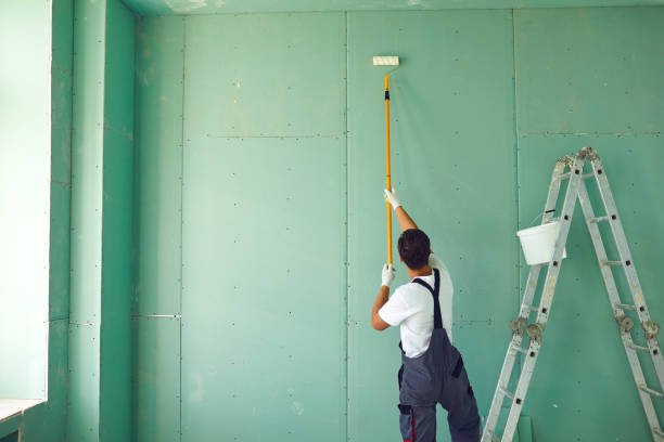Reliable Gaithersburg, MD Mold Removal Solutions