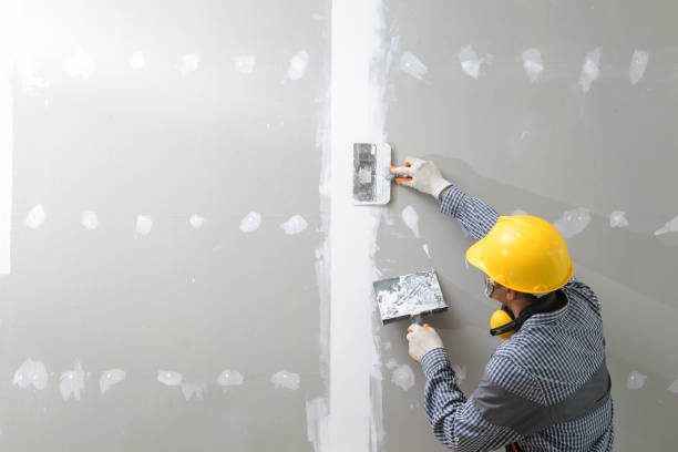 Best Comprehensive Air Testing for Mold Contaminants  in Gaithersburg, MD