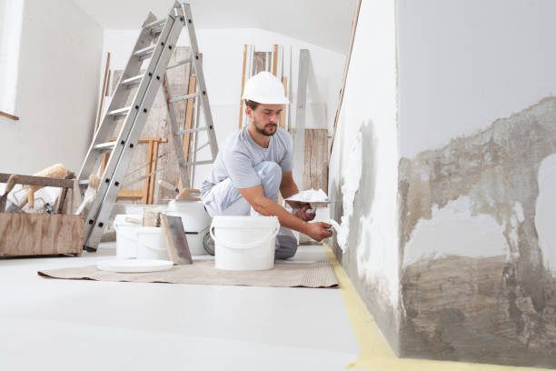 Best Black Mold Removal  in Gaithersburg, MD